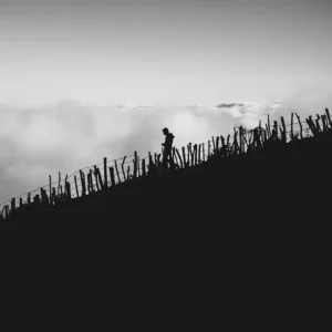 ALIREZAKOUHGASHT.COM0003