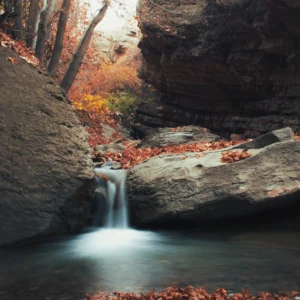 ALIREZAKOUHGASHT.COM0009